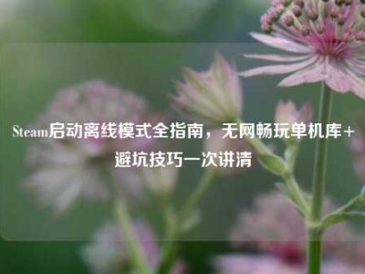 Steam启动离线模式全指南，无网畅玩单机库+避坑技巧一次讲清