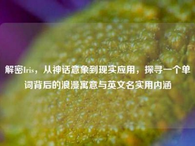 解密Iris，从神话意象到现实应用，探寻一个单词背后的浪漫寓意与英文名实用内涵
