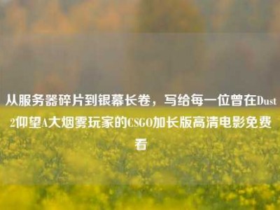 从服务器碎片到银幕长卷，写给每一位曾在Dust2仰望A大烟雾玩家的CSGO加长版高清电影免费看