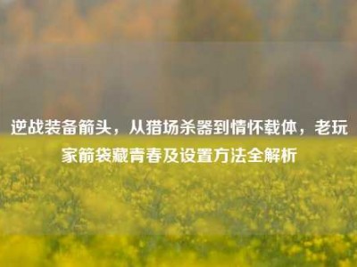 逆战装备箭头，从猎场杀器到情怀载体，老玩家箭袋藏青春及设置方法全解析