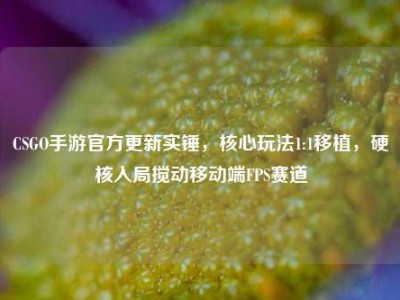 CSGO手游官方更新实锤，核心玩法1:1移植，硬核入局搅动移动端FPS赛道
