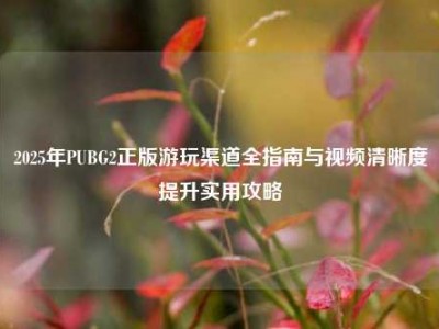2025年PUBG2正版游玩渠道全指南与视频清晰度提升实用攻略