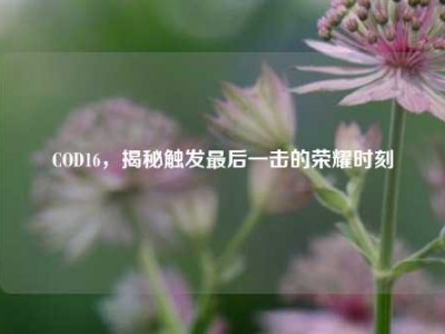 COD16，揭秘触发最后一击的荣耀时刻