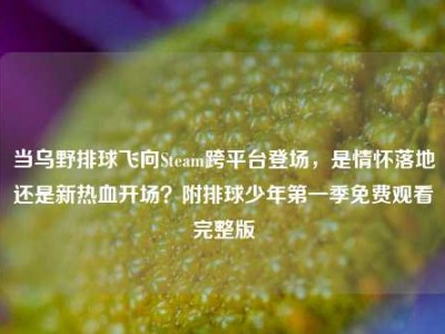 当乌野排球飞向Steam跨平台登场，是情怀落地还是新热血开场？附排球少年第一季免费观看完整版