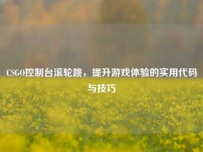 CSGO控制台滚轮跳，提升游戏体验的实用代码与技巧