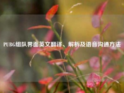PUBG组队界面英文翻译、解析及语音沟通方法