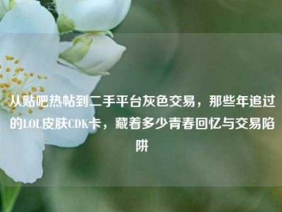 从贴吧热帖到二手平台灰色交易，那些年追过的LOL皮肤CDK卡，藏着多少青春回忆与交易陷阱