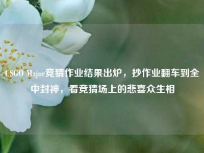 CSGO Major竞猜作业结果出炉，抄作业翻车到全中封神，看竞猜场上的悲喜众生相