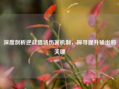 深度剖析逆战猎场伤害机制，探寻提升输出的关键