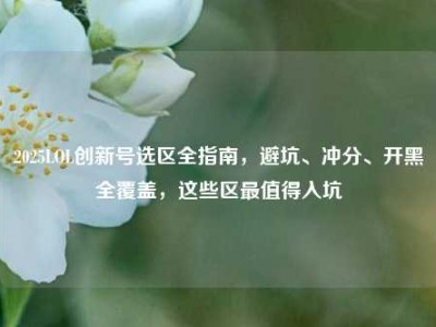 2025LOL创新号选区全指南，避坑、冲分、开黑全覆盖，这些区最值得入坑