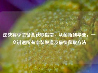 逆战赛季装备全获取指南，从萌新到毕业，一文讲透所有拿装渠道及最快获取方法