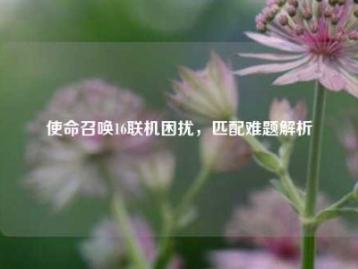 使命召唤16联机困扰，匹配难题解析