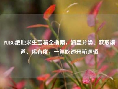 PUBG绝地求生宝箱全指南，涵盖分类、获取渠道、稀有度，一篇吃透开箱逻辑