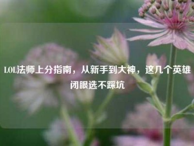 LOL法师上分指南，从新手到大神，这几个英雄闭眼选不踩坑