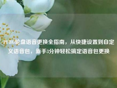 PUBG轮盘语音更换全指南，从快捷设置到自定义语音包，新手3分钟轻松搞定语音包更换