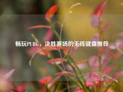 畅玩PUBG，决胜赛场的无线键盘推荐