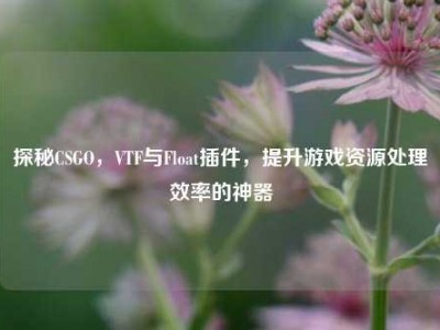 探秘CSGO，VTF与Float插件，提升游戏资源处理效率的神器