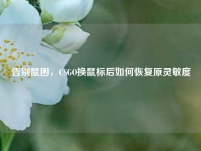 告别鼠困，CSGO换鼠标后如何恢复原灵敏度