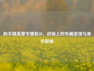 和平精英单字僚机ID，战场上的专属浪漫与身份徽章