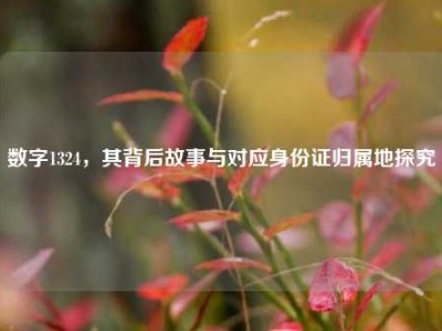 数字1324，其背后故事与对应身份证归属地探究
