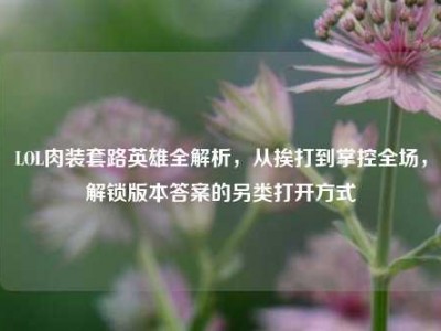 LOL肉装套路英雄全解析，从挨打到掌控全场，解锁版本答案的另类打开方式