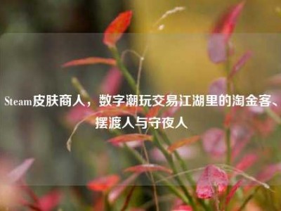 Steam皮肤商人，数字潮玩交易江湖里的淘金客、摆渡人与守夜人