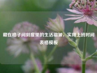 藏在格子间刻度里的生活褶皱，实用上班时间表格模板