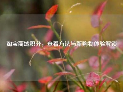 淘宝商城积分，查看方法与新购物体验解锁