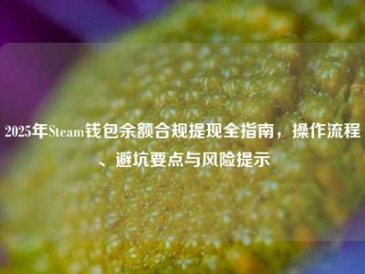 2025年Steam钱包余额合规提现全指南，操作流程、避坑要点与风险提示