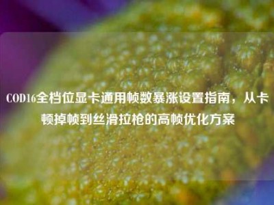 COD16全档位显卡通用帧数暴涨设置指南，从卡顿掉帧到丝滑拉枪的高帧优化方案