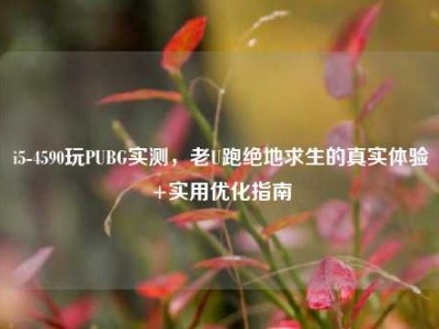 i5-4590玩PUBG实测，老U跑绝地求生的真实体验+实用优化指南