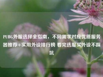 PUBG外服选择全指南，不同需求对应优质服务器推荐+实用外设排行榜 看完选服买外设不踩坑