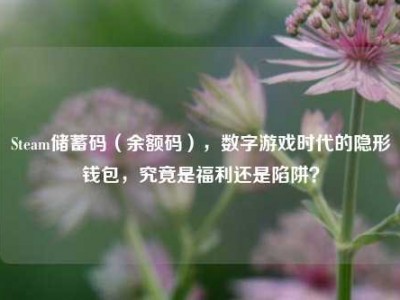 Steam储蓄码（余额码），数字游戏时代的隐形钱包，究竟是福利还是陷阱？