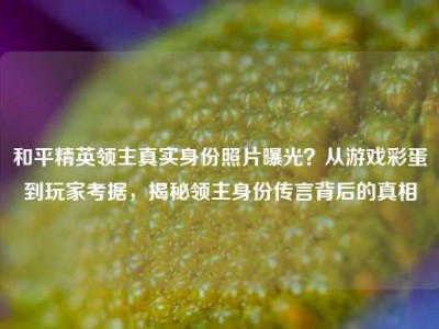 和平精英领主真实身份照片曝光？从游戏彩蛋到玩家考据，揭秘领主身份传言背后的真相