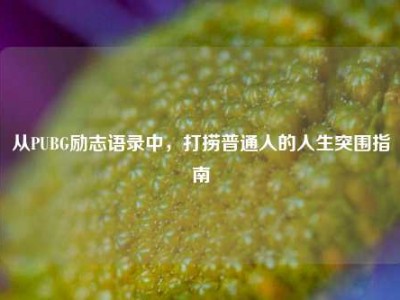 从PUBG励志语录中，打捞普通人的人生突围指南