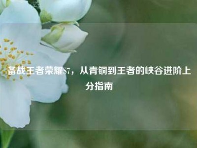 备战王者荣耀S7，从青铜到王者的峡谷进阶上分指南