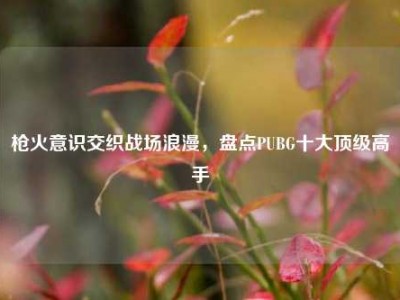 枪火意识交织战场浪漫，盘点PUBG十大顶级高手