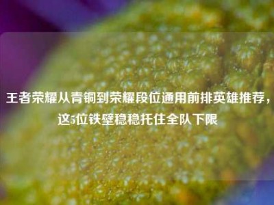 王者荣耀从青铜到荣耀段位通用前排英雄推荐，这5位铁壁稳稳托住全队下限