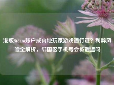 港版Steam账户成内地玩家游戏通行证？利弊风险全解析，绑国区手机号会被遣返吗