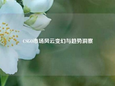 CSGO市场风云变幻与趋势洞察