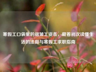 寒假工口袋里的褶皱工资条，藏着初次读懂生活的注脚与寒假工求职指南