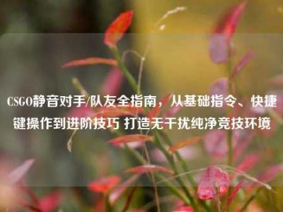 CSGO静音对手/队友全指南，从基础指令、快捷键操作到进阶技巧 打造无干扰纯净竞技环境