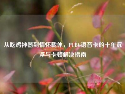 从吃鸡神器到情怀载体，PUBG语音卡的十年沉浮与卡顿解决指南