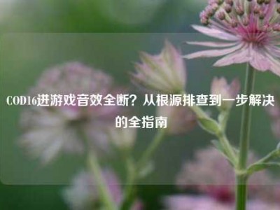 COD16进游戏音效全断？从根源排查到一步解决的全指南
