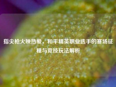 指尖枪火映热爱，和平精英职业选手的赛场征程与竞技玩法解析