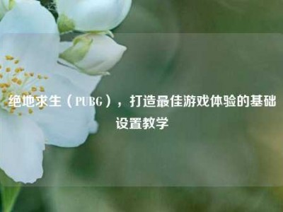 绝地求生（PUBG），打造最佳游戏体验的基础设置教学