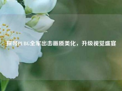 探寻PUBG全军出击画质美化，升级视觉盛宴