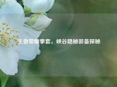 王者荣耀拳套，峡谷隐秘装备探秘