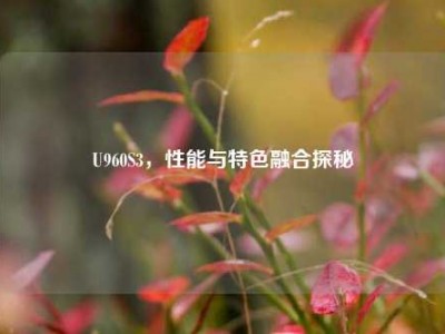 U960S3，性能与特色融合探秘