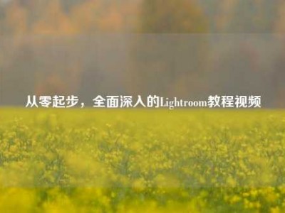 从零起步，全面深入的Lightroom教程视频